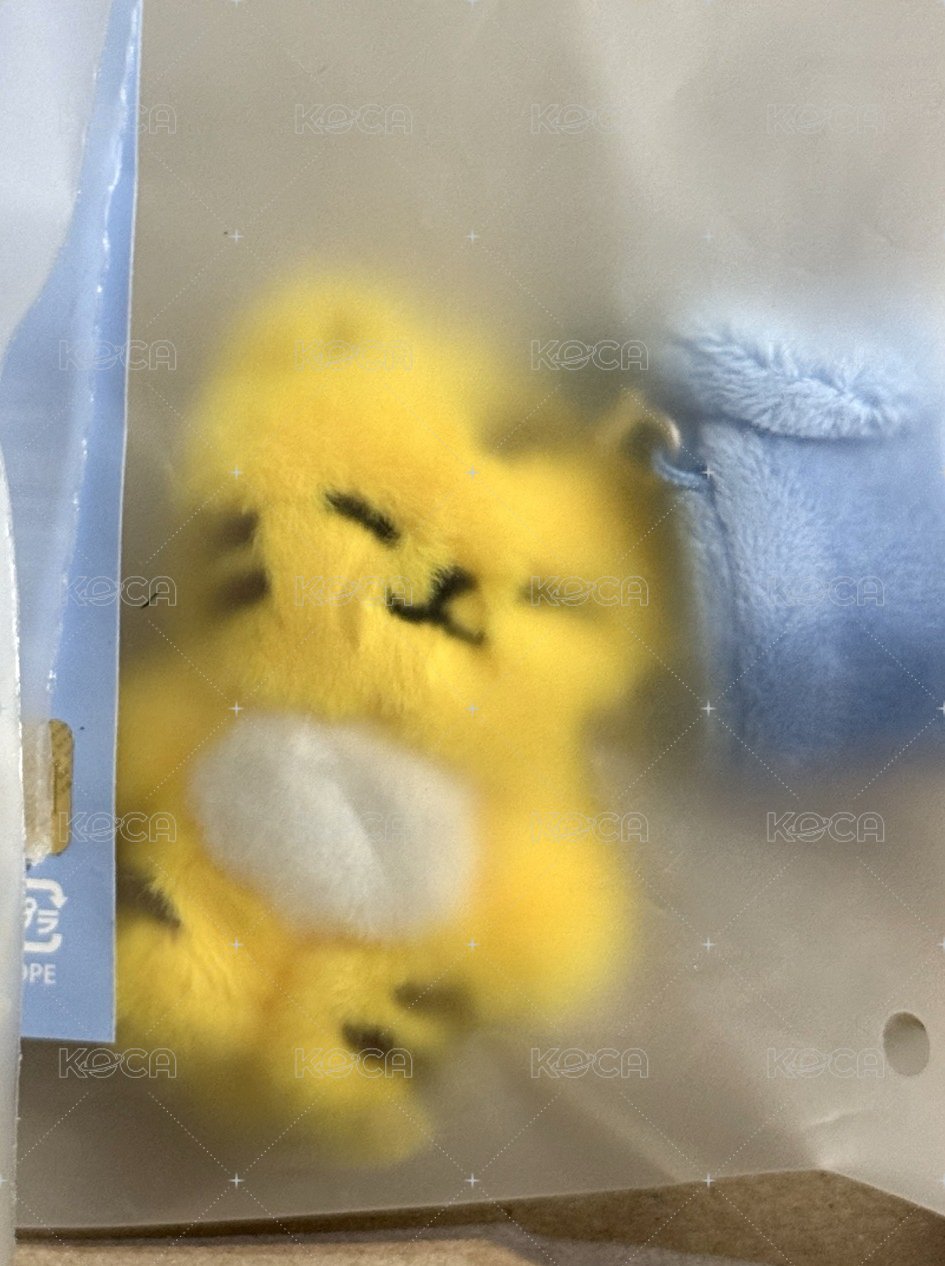 榮 TAMTAM