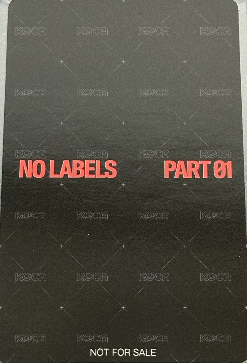 NO LABELS hmv 特典卡  背面