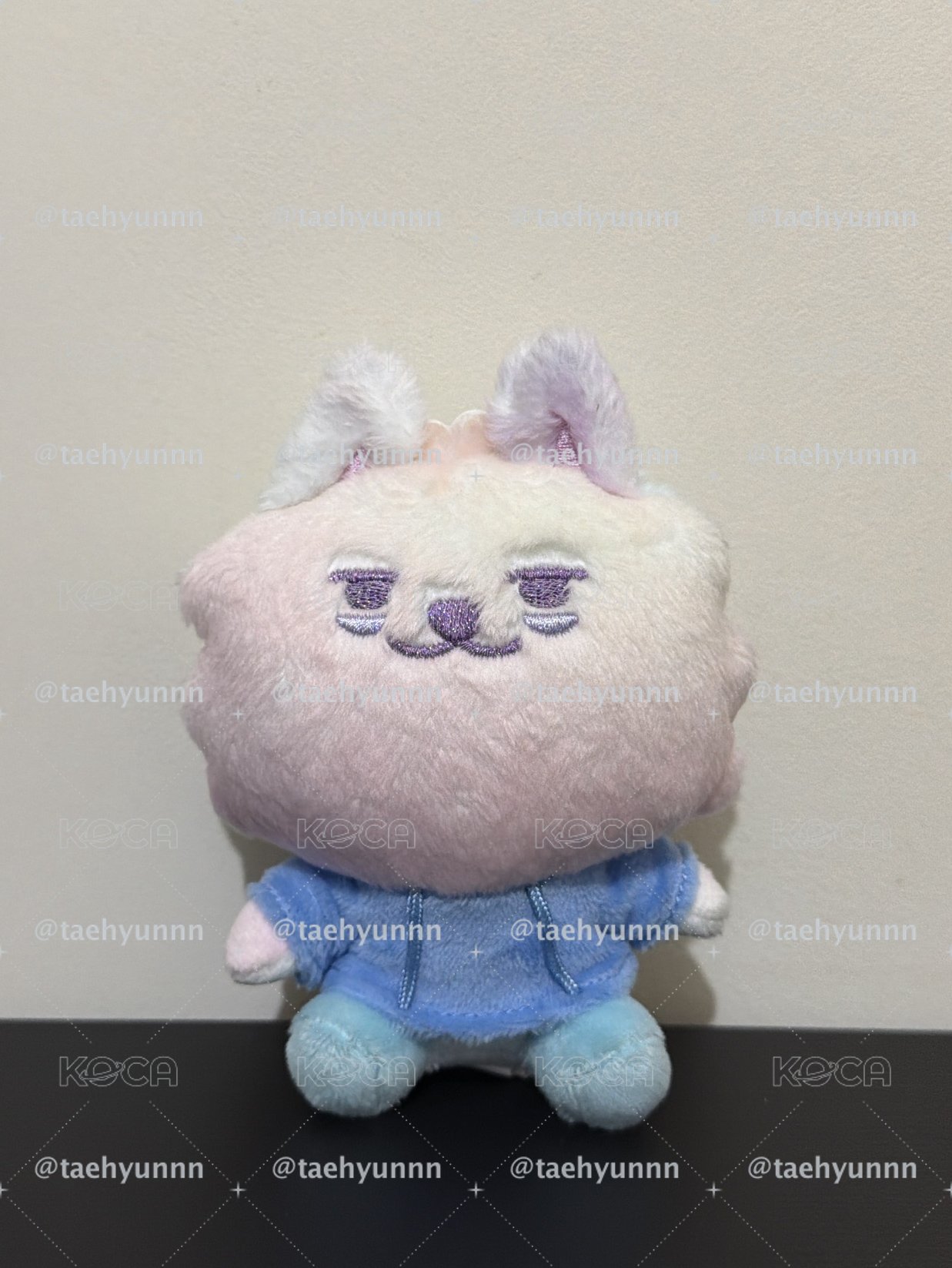 淡顏彩猛🐰🍓全新有原袋