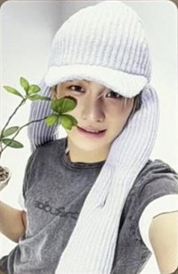 迷五 Love Guide ver. 專輯卡 