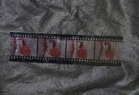 秋天 專輯內容物(貼紙+膠片)