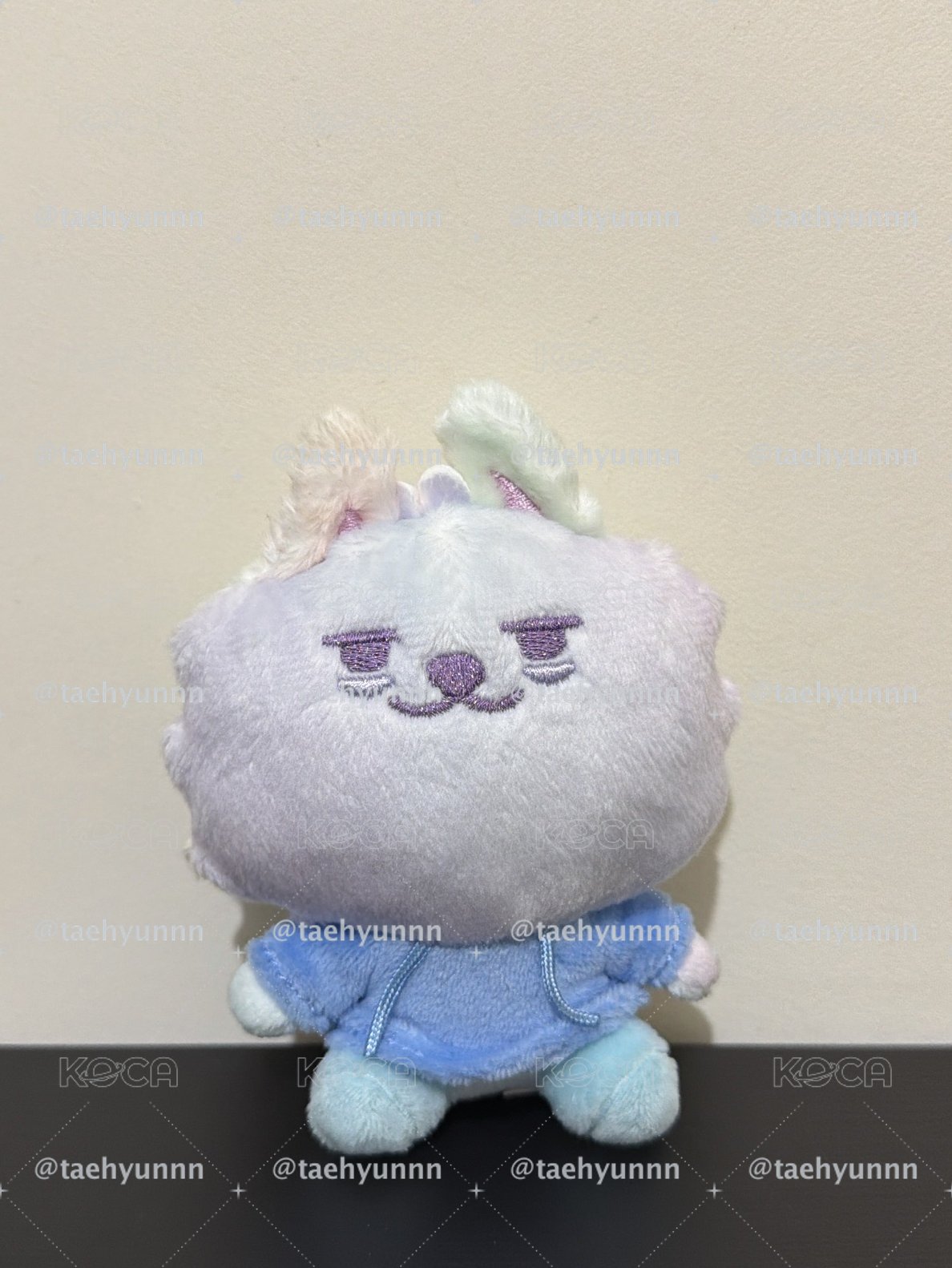 淡顏彩猛🐰💜全新有原袋