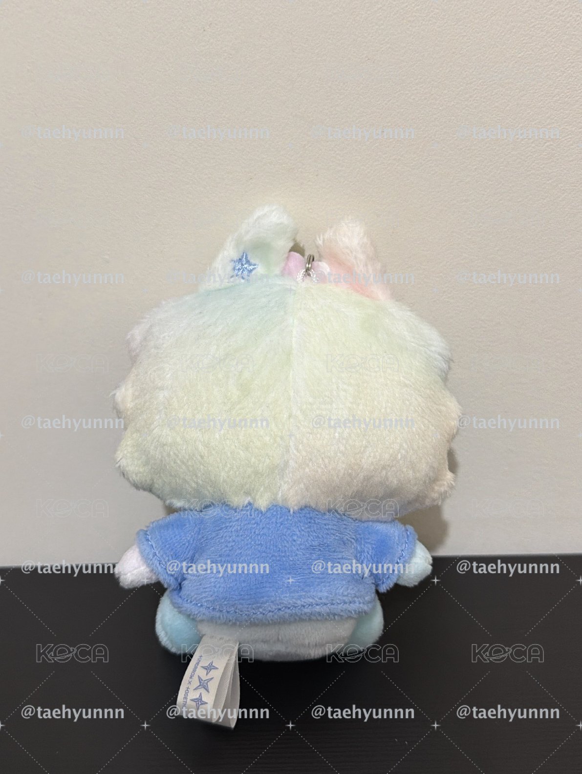 淡顏彩猛🐰全新有原袋