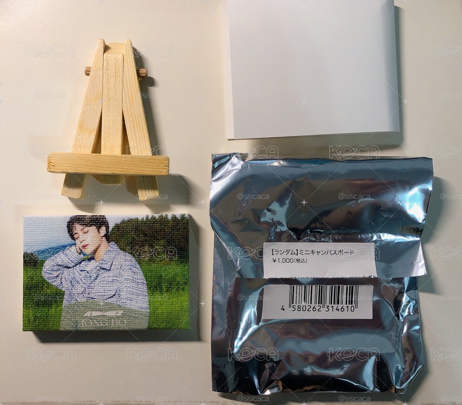 金弘中 崔鍾浩 Dreamers 彩畫 SHOP IN SHOP小掛畫擺飾