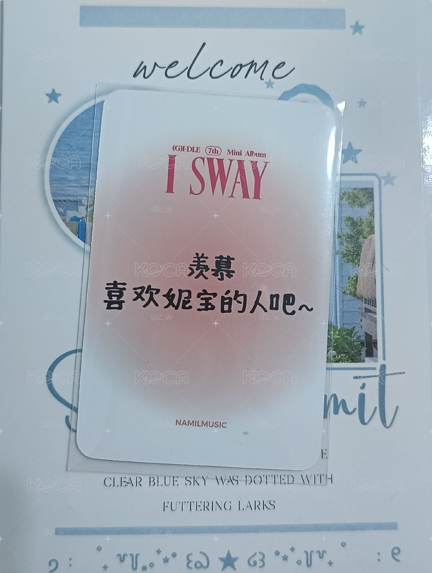 楠藝中背 夏威夷妮(贈圖三)