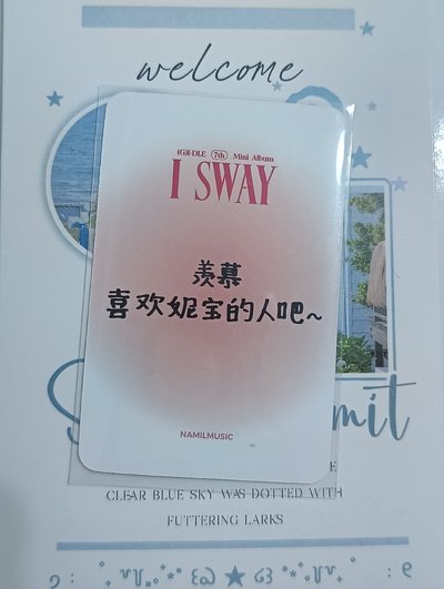 楠藝中背 夏威夷妮(贈圖三)