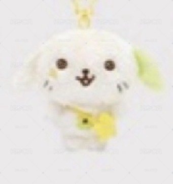 現貨｜NCT WISH RYO原皮娃娃 ryonryon 小盤出