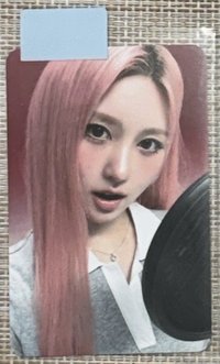 dingo秋