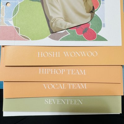 SEVENTEEN 迷7已拆全專
