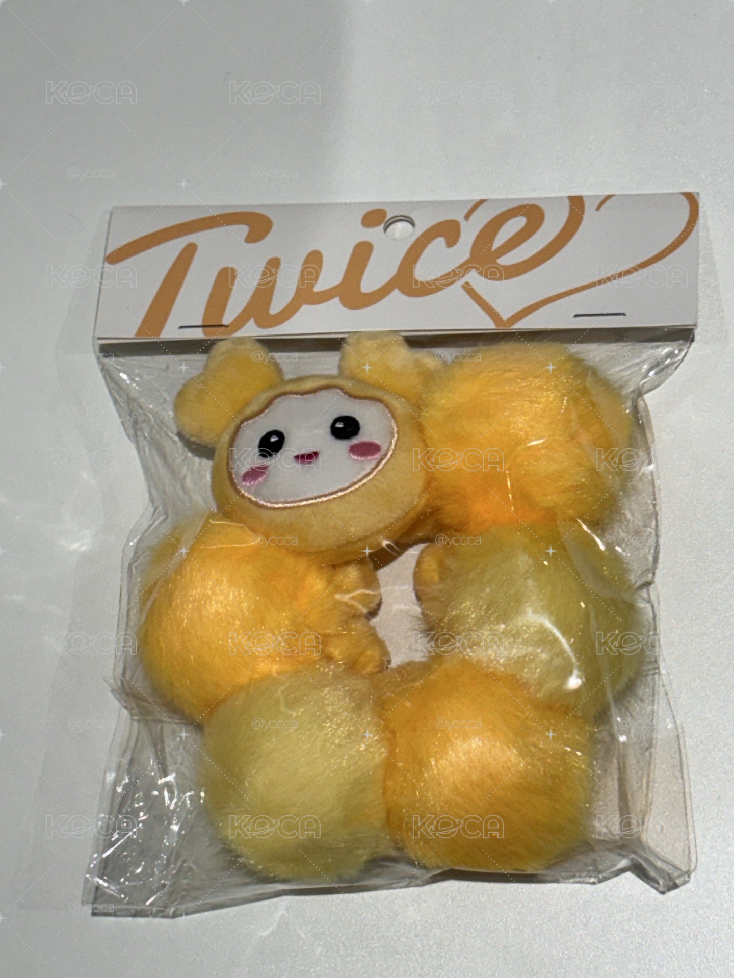 新國立髮圈 志效