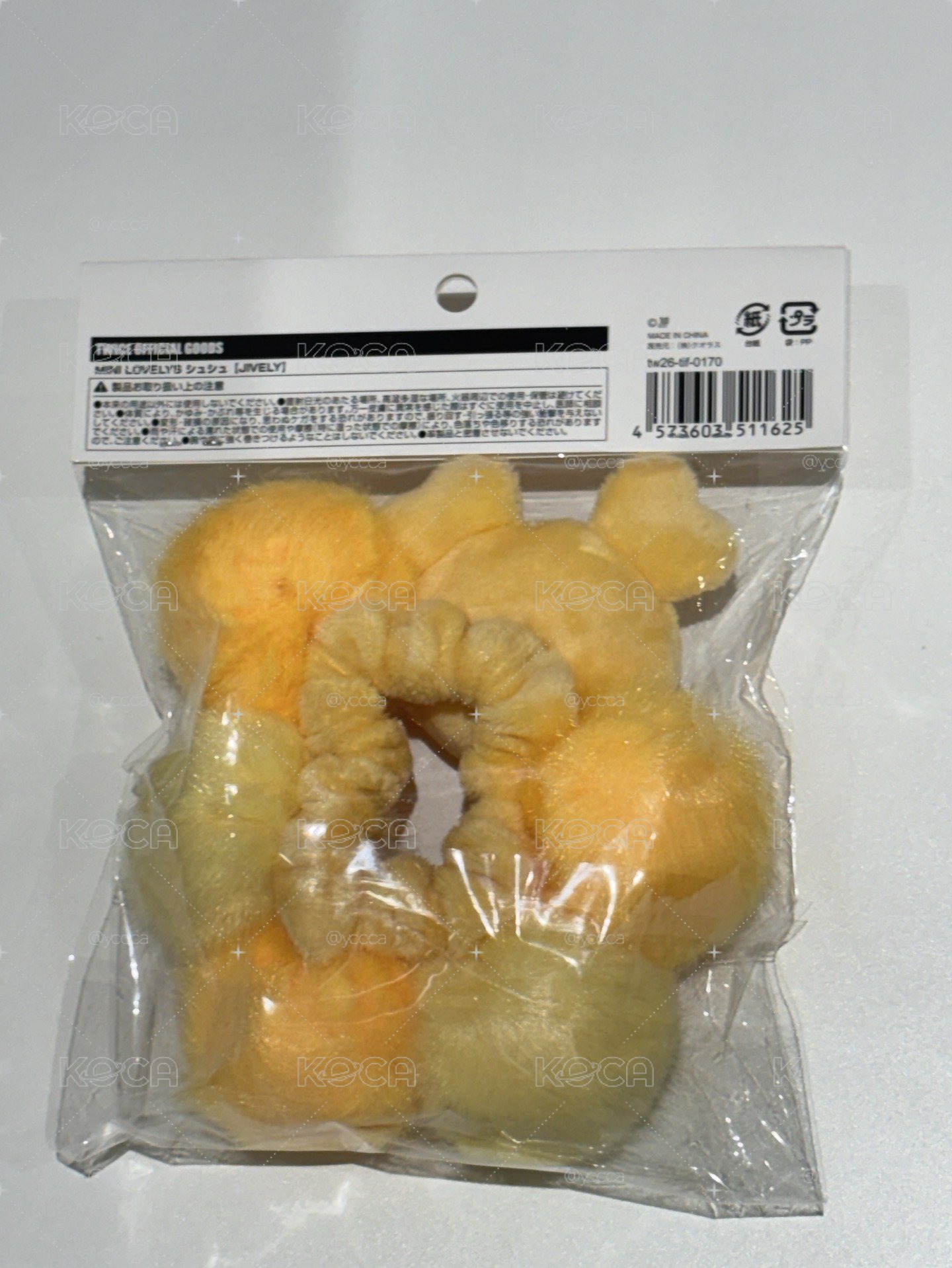 新國立髮圈 志效