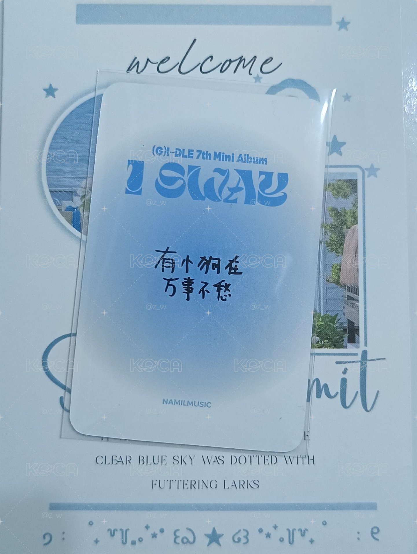 迷七楠藝 中背琦+圖三全