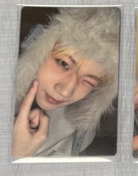 毛帽wink