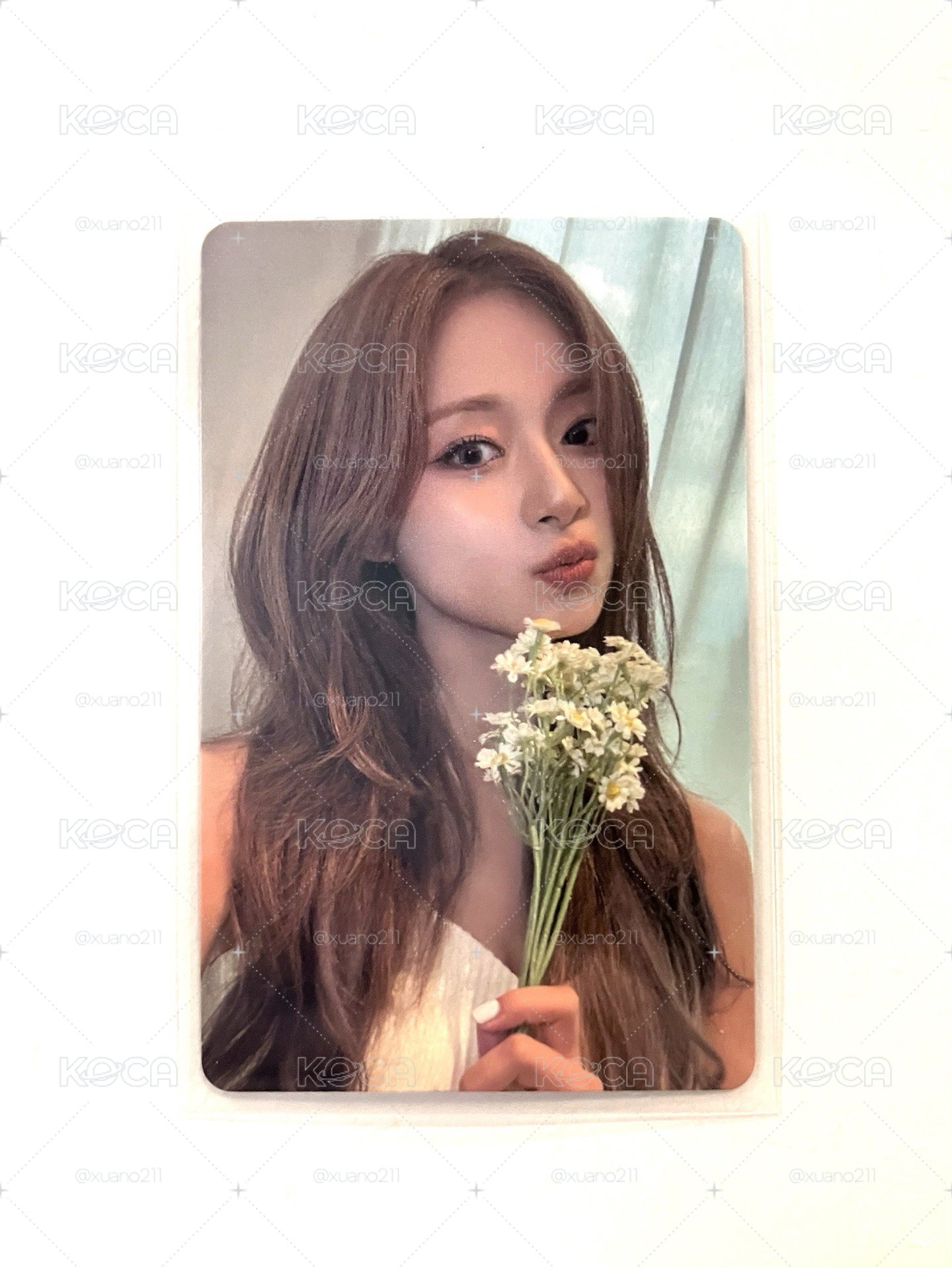 拿花瑜 JYP 特典