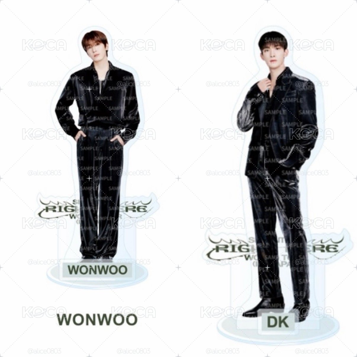 Seventeen RIGHT HERE 立牌 圓佑 碩珉 全新 現貨 未拆