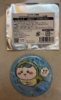 海龜