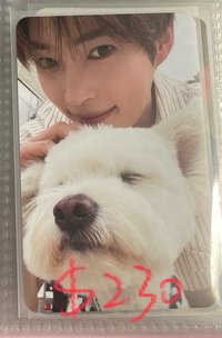 狗狗彬