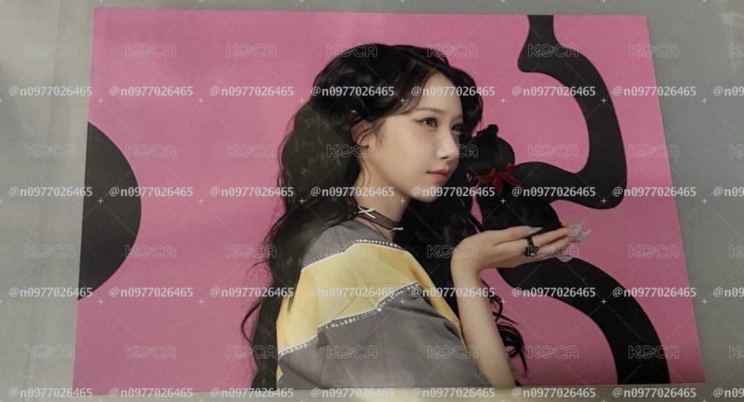 VIVIZ正規一 whosfan cafe 明信片