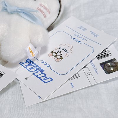辰飛行娃