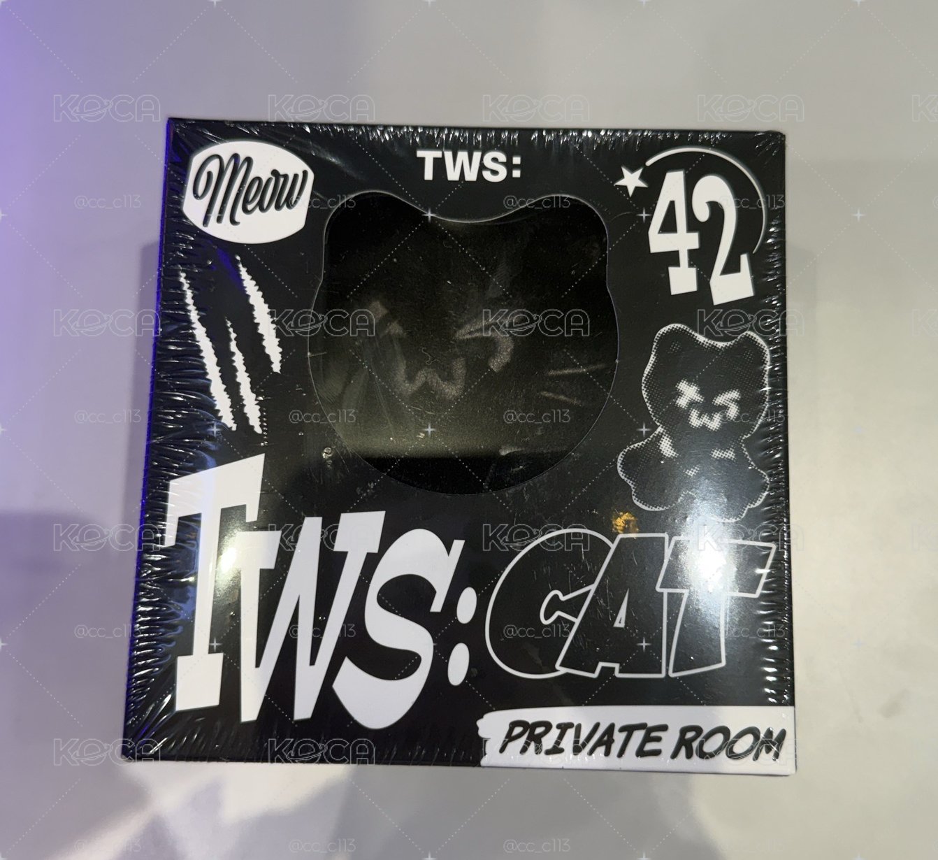 tws 娃專 全新未拆（現貨）