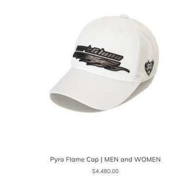 karina高爾夫代言卡