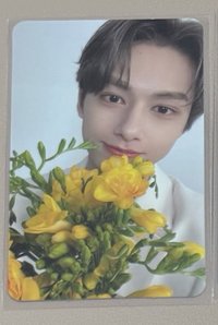 捧花俊