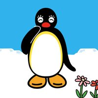 PINGI