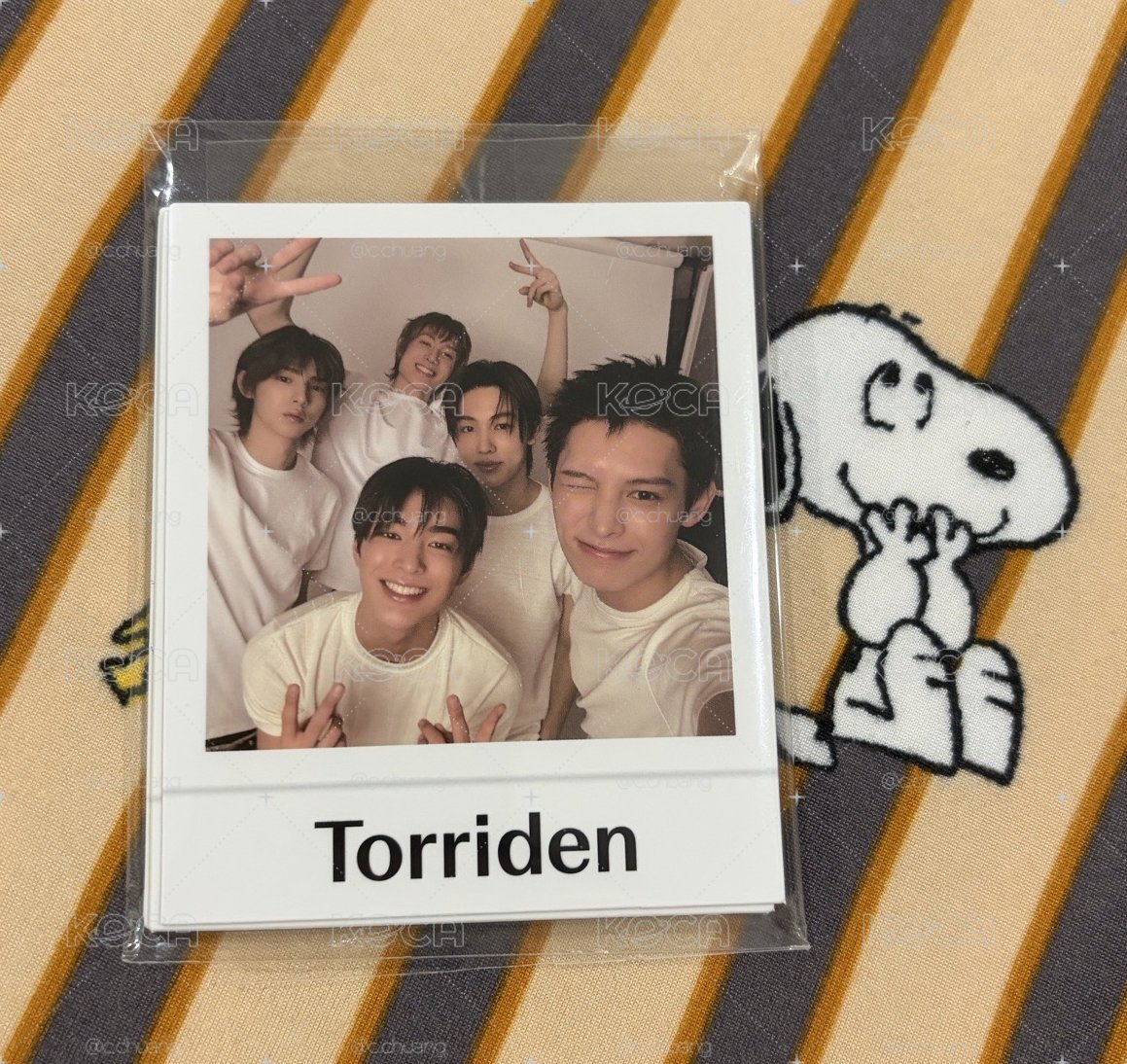 torriden代言卡（現貨）