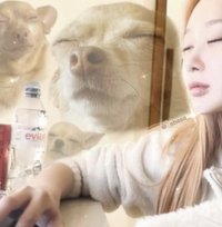 金吉寧萌