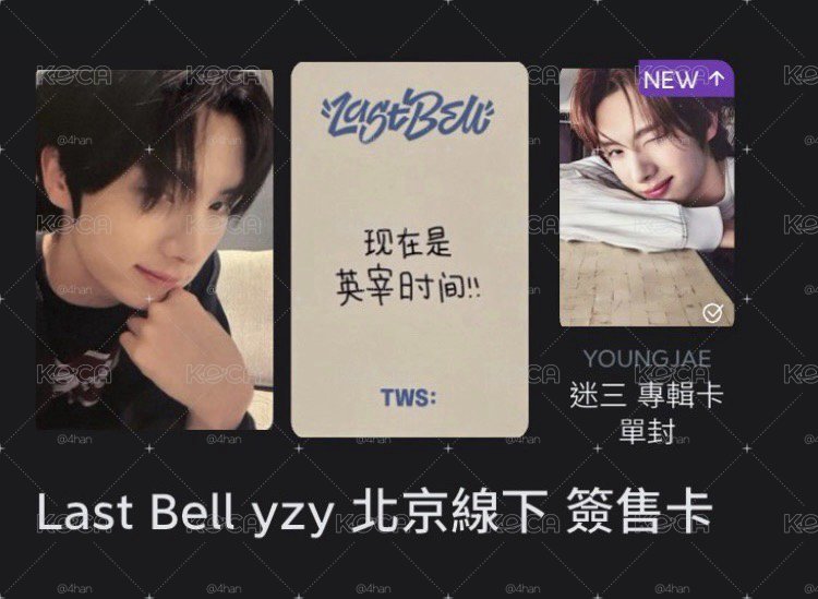 🐹中文卡背 現在是英宰時間！捆圖上專卡