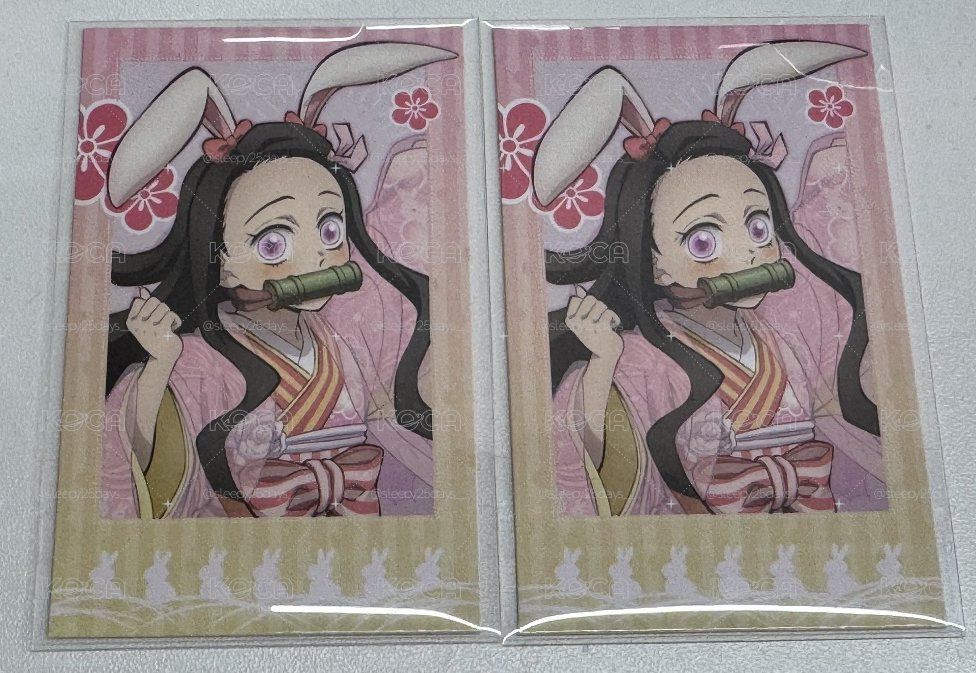 【鬼滅之刃】兔年拍立得