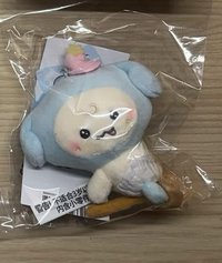 掃帚潤