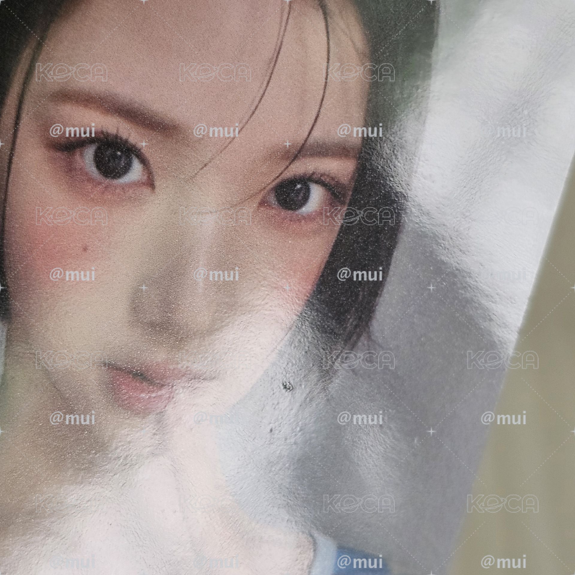 H2H 2aN代言一套 *務必看內文再下單