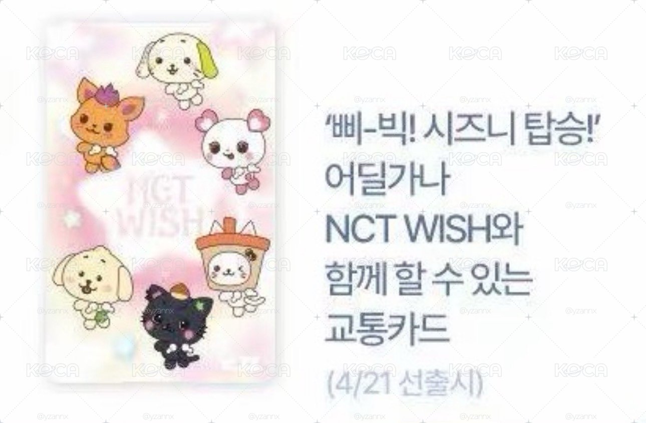 𖤐 NCT WISH 交通卡 𖤐