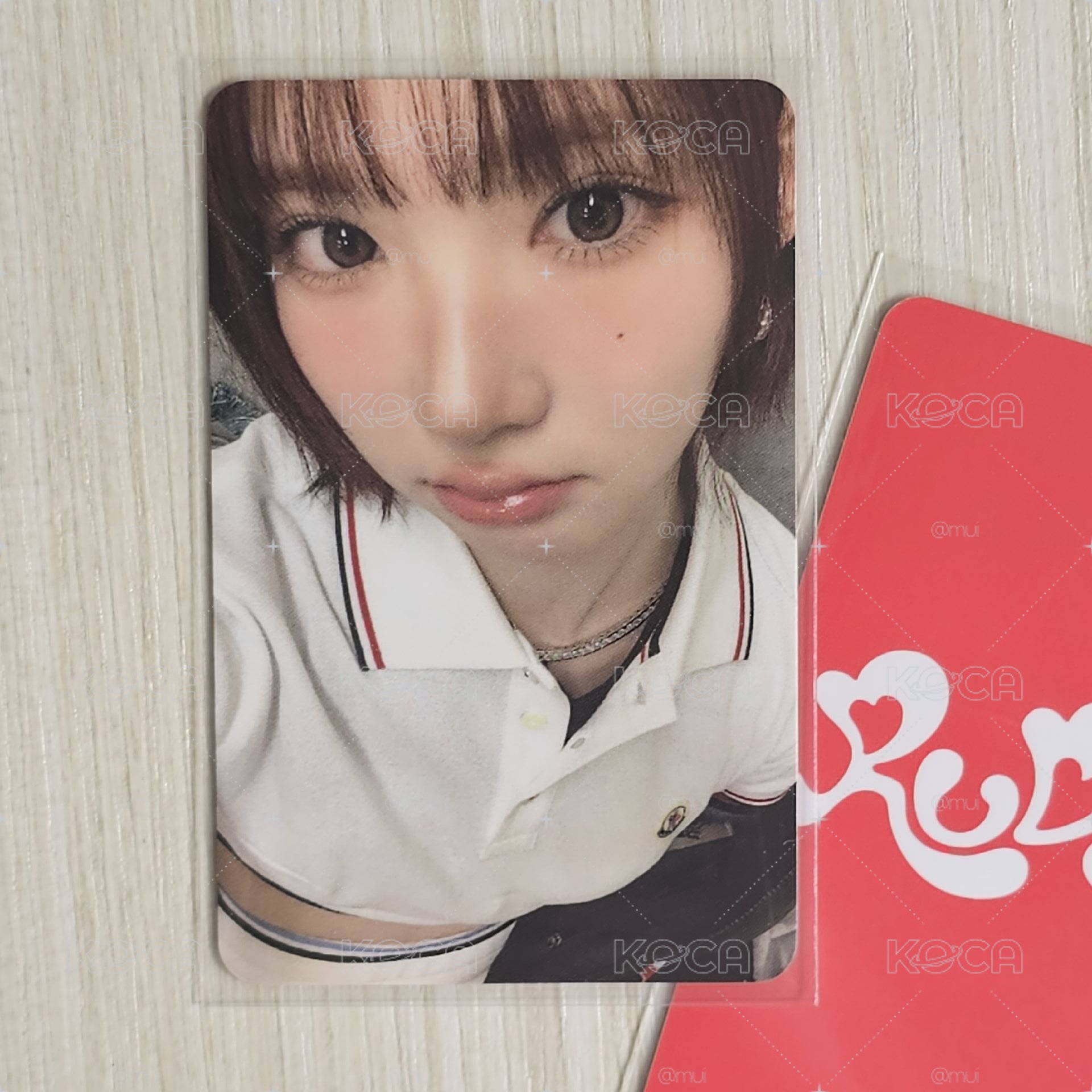 H2H HL1.0 JIWOO