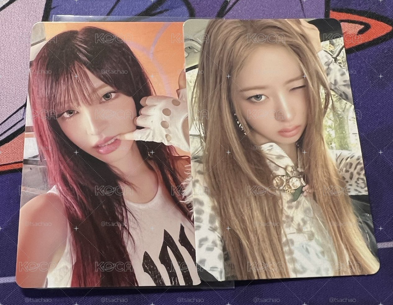美網栗+怜專卡