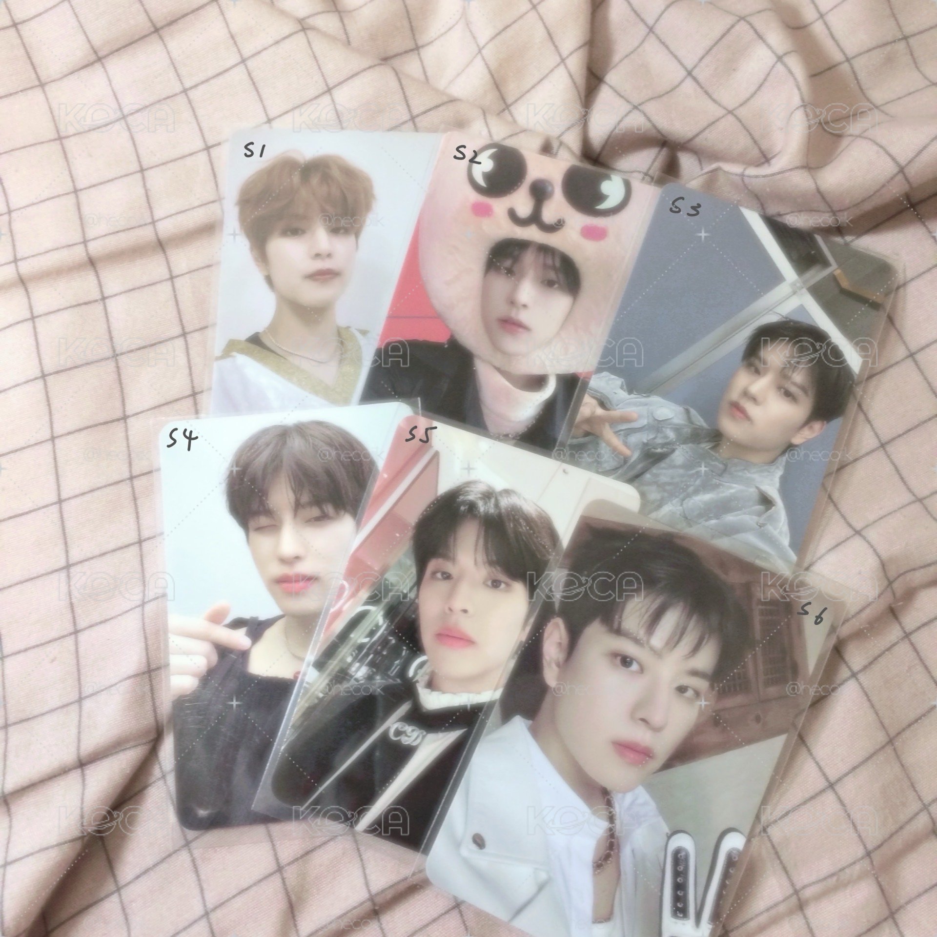 ☆⌒𝗦𝗧𝗥𝗔𝗬 𝗞𝗜𝗗𝗦 𝗦𝗘𝗨𝗡𝗚𝗠𝗜𝗡⸝⸝⸝✰ ʺ̤ 