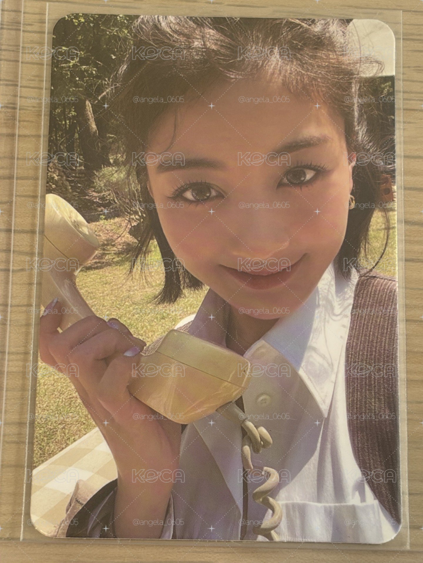 志效小卡💛