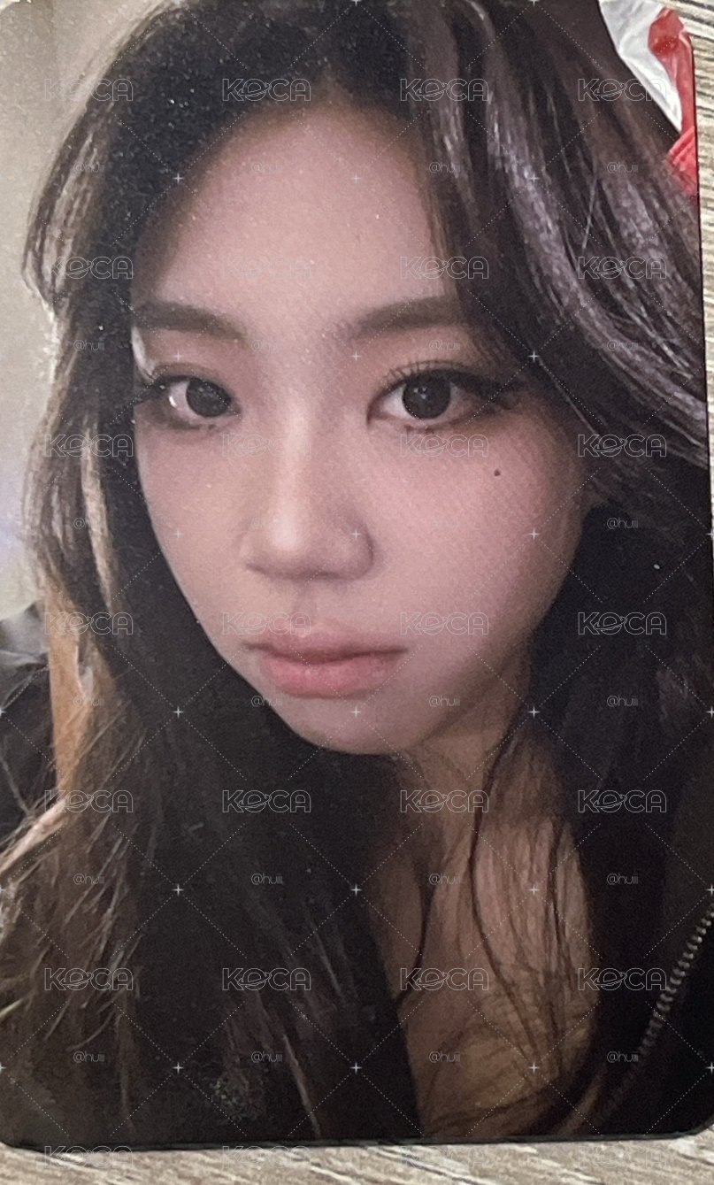 李泳知 櫻花季🌸