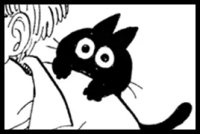 ブルマの家の黒猫