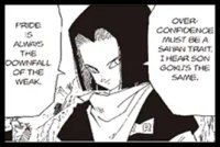 人造人間17号