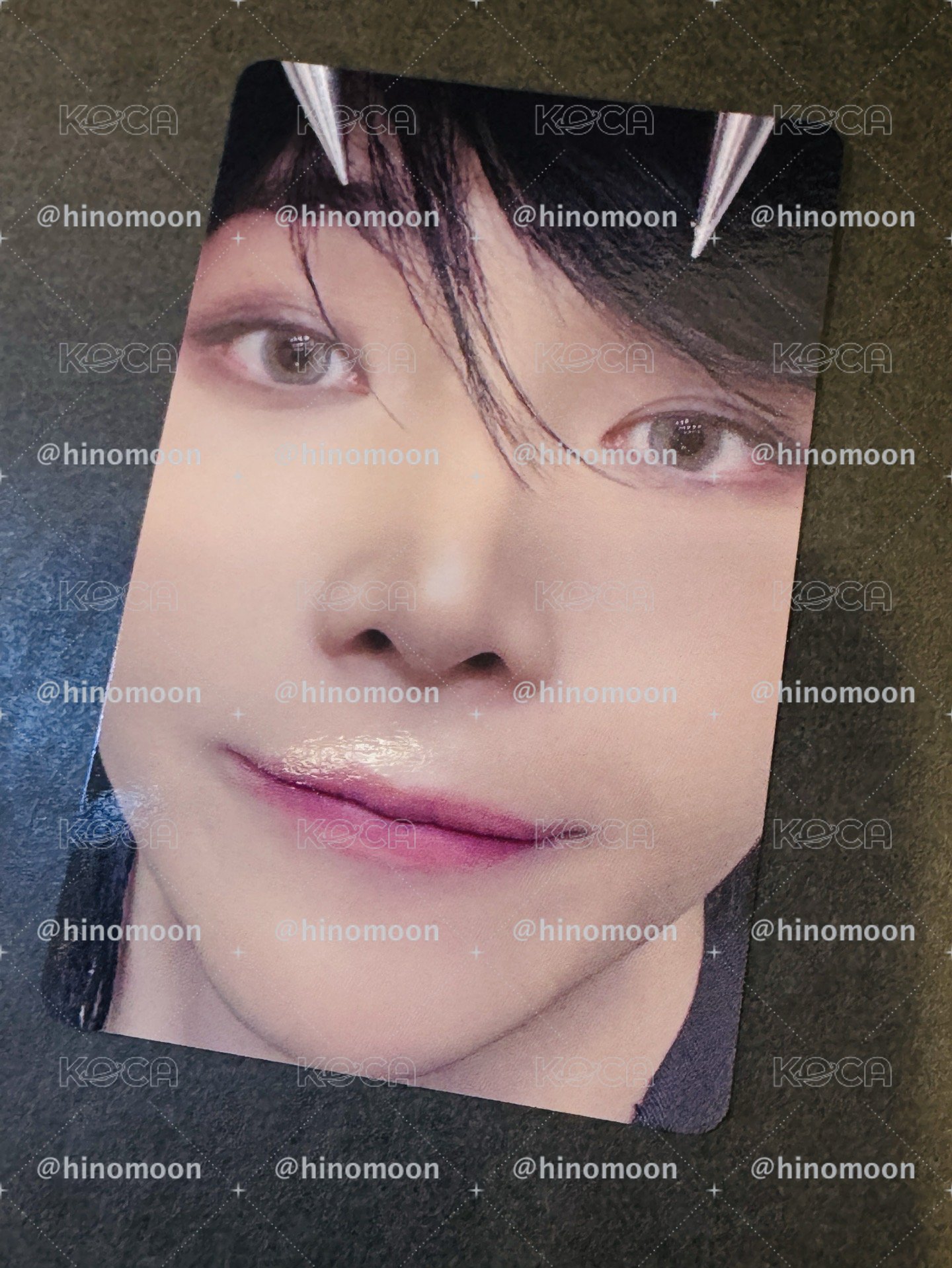 GIB NICHOLAS baby wolf