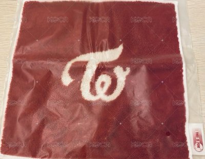 TWICE 新國立入場禮