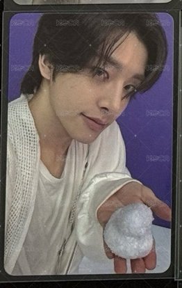 A3 鴨鴨雪倫