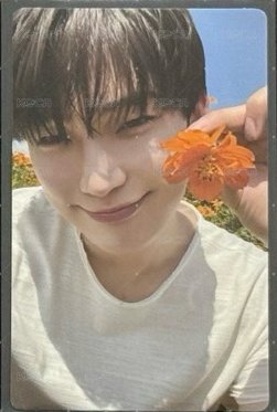 C2 花花禹