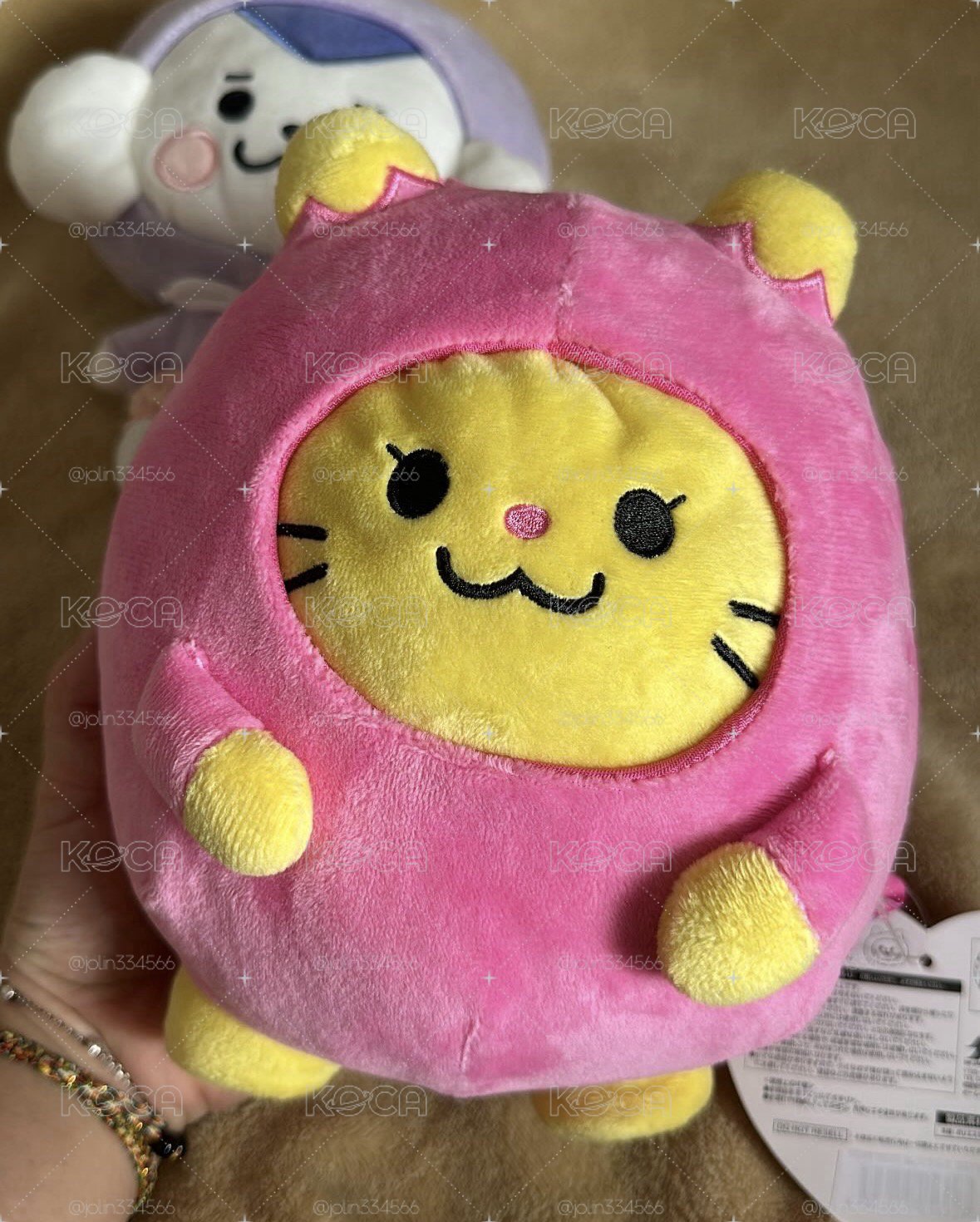 WDZY 日版 Hatt志                        巨大紅薯🐱🍠❗️❗️