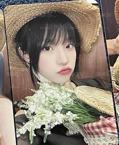 野餐貓咪琦