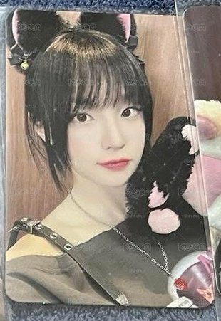 野餐貓咪琦