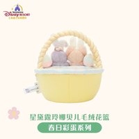 毛絨花籃