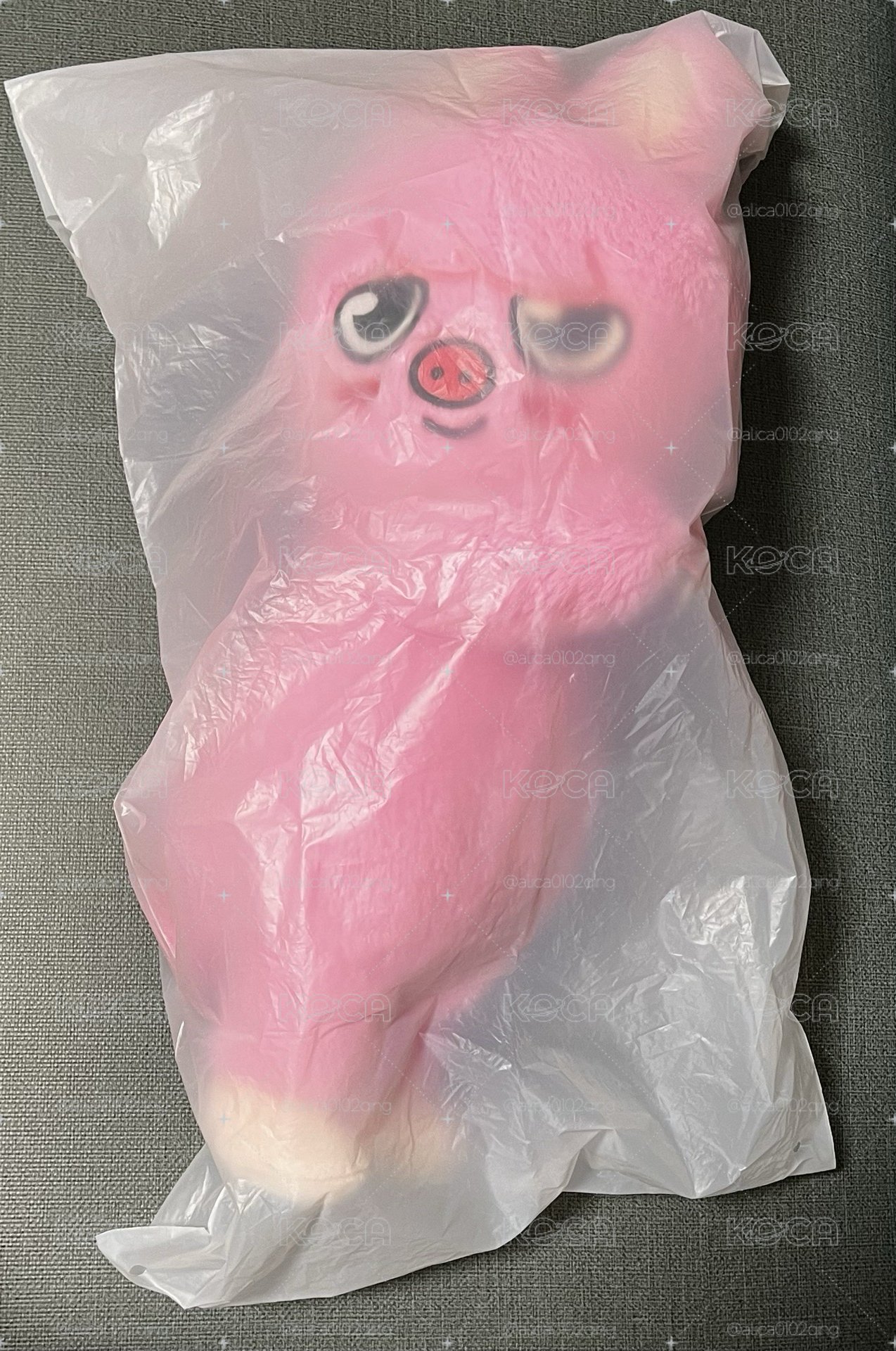 彬 側背娃